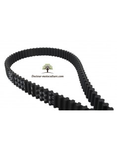 Courroie crantée castel garden 122 Hydro modèles TH4S-TH4X-TH4Y