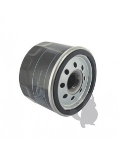 Filtre à Huile pour MTD Minirider 76SD