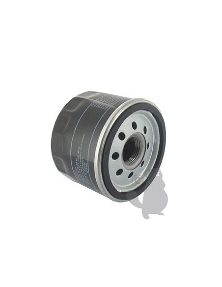Filtre à Huile pour MTD Minirider 76SD