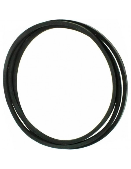 Courroie d'avancement pour cub cadet XT2 PS107