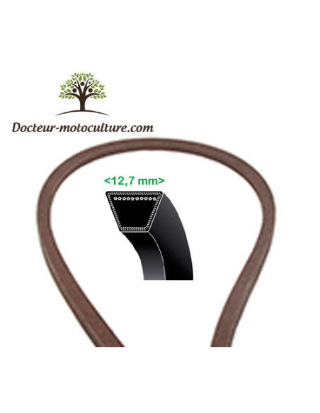 courroie de traction pour Bernard Loisirs BL1542RB