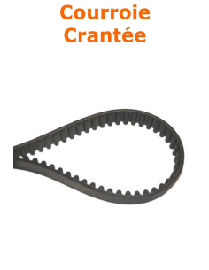 courroie de traction crantée pour Husqvarna R214TC