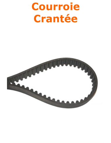 courroie de traction crantée pour Husqvarna R214TC