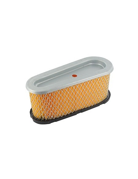 Filtre à air pour Briggs et Stratton
