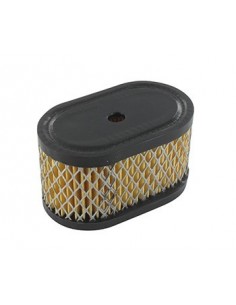 Filtre à air  pour Briggs et Stratton