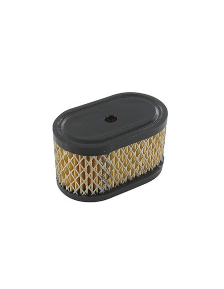 Filtre à air  pour Briggs et Stratton