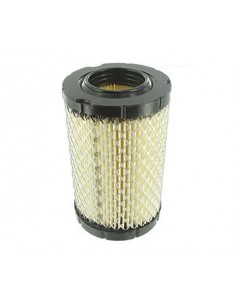 Filtre à air Briggs & Stratton