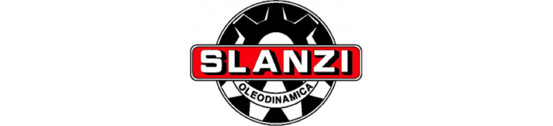 Filtres à essence et diesel pour moteur Slanzi