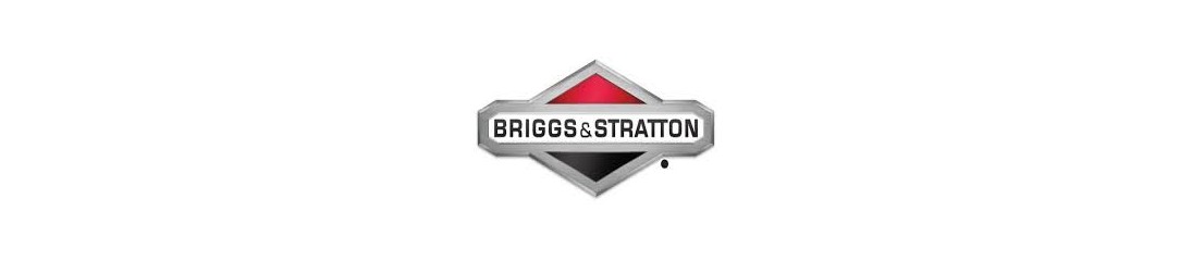 Pochettes de joints pour moteurs Briggs & stratton
